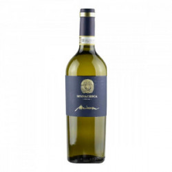 VERDICCHIO DI MATELICA MIRUM RISERVA DOCG