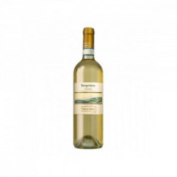 VINO BORGOLETTO SOAVE DOC BIOLOGICO