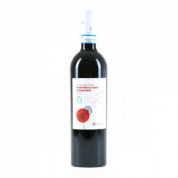 VIGNA MADRE VINO MONTEPULCIANO D'ABRUZZO BIOVEGAN DOC  750ml