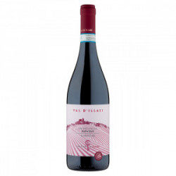 VINO VALPOLICELLA RIPASSO DOC