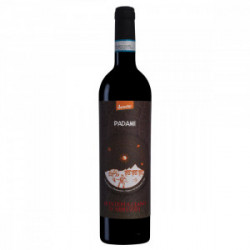 PADAMI VINO MONTEPULCIANO D'ABRUZZO BIODINAMICO DOC  750ml