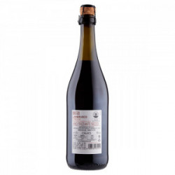 BOTTE BUONA VINO LAMBRUSCO SECCO  750ml