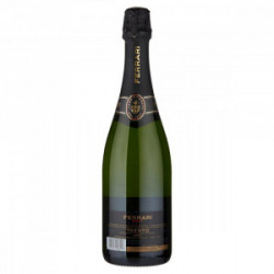 SPUMANTE TRENTO DOC BRUT