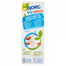 BJORG BEVANDA RISO MANDORLA EXTRA GUSTO 1L BIO