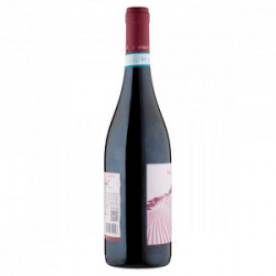 VINO VALPOLICELLA RIPASSO DOC