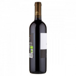 VINO ALIOTTO TOSCANA BIO IGT