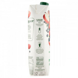 SUCCO FRUTTI DI BOSCO SENZA ZUCCHERO TETRA PACK