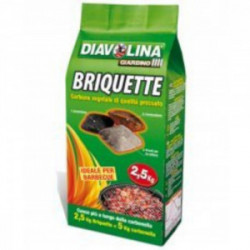 BRIQUETTE CARBONE VEGETALE PER BARBEQUE