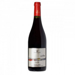 SYRAH IGT TERRE SICILIANE 12°